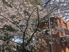 -叶家花园