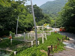 -杭州少年儿童公园