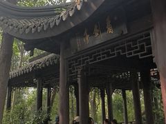 -上海佘山国家森林公园天马山园