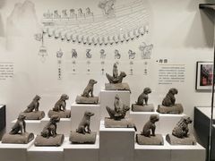 -四川大学博物馆