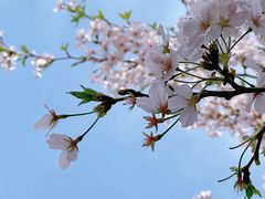 -龙美术馆(西岸馆)