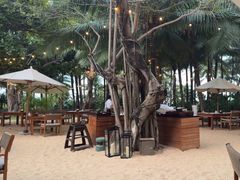 -三亚艾迪逊酒店·海滩烧烤 BARBACOA·现场乐队·浪漫晚餐·烧烤海鲜