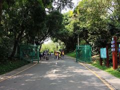 -深圳国际园林花卉博览园