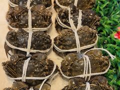 -田园·晶品会(鹤庆路店)