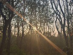 -昆山城市生态森林公园