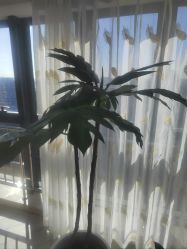 -HEYAN荷妍专业脱毛连锁机构