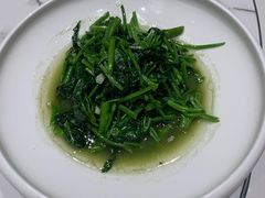 -阿露佳·舌尖上的安吉菜