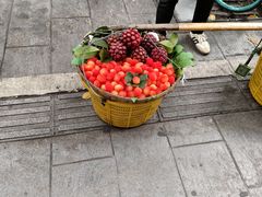 -西月城谭豆花(春熙路店)