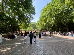 -人民公园-相亲角