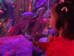 -沈阳海洋探索中心