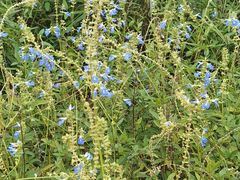 -白鹭湾湿地公园