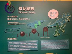 -正佳自然科学博物馆