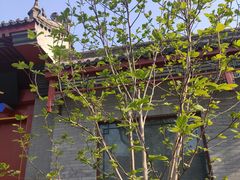 -北京佛教居士林