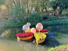 -上海共青森林公园