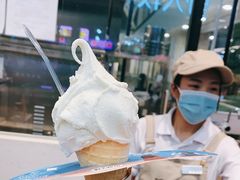 -野人先生现做冰淇淋(西安赛格店)