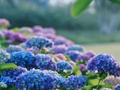 -古宇湖风景名胜区