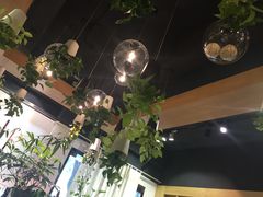 -柴务处·柴犬主题狗咖