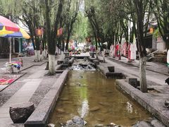 -蓝壁虎咖啡酒馆