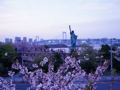 -台场海滨公园船码头