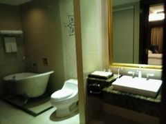 -圣爵菲斯大酒店(长沙世界之窗店)