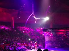 -珠海横琴长隆《卡卡虎奇遇记》