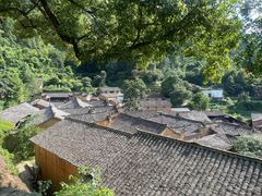 -杨家堂村