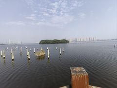 -厦门园林博览苑