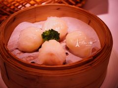 -悦景酒家(罗湖店)