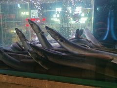 -本炙炭烤·蒲烧活鳗料理店(金沙洲店)