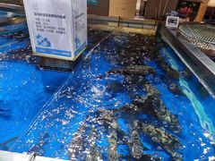 -盒马鲜生(悦峰店)