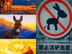 -莲池书院博物馆