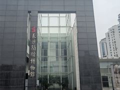 -长沙简牍博物馆