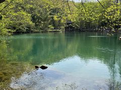 -穆老九清真牛羊肉馆(宋城店)