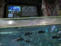 -泉城欧乐堡海洋极地世界