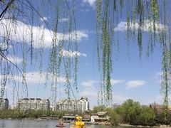 -紫竹院公园冰场