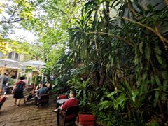 -Fern Forest Cafe