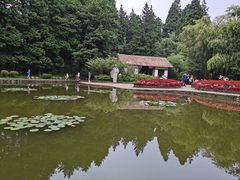 -庐山风景区花径公园