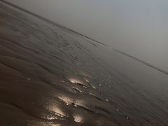 -頂好酒家·经典粤菜(海信广场店)