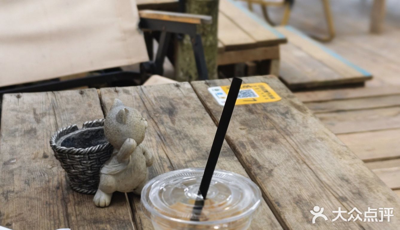 森林中的休闲时光