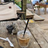 森林中的休闲时光