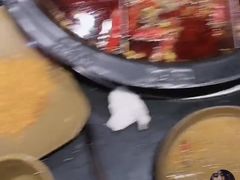 -宽板凳老灶火锅(簋街店)