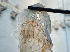 虾生-官塘陈记鱼生·潮汕砂锅粥·牛肉火锅(潮枫路总店)