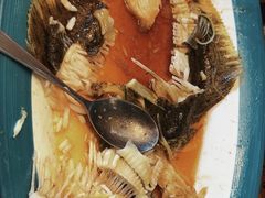 -海派美食·家宴海鲜青岛菜·石锅鲽鱼头(东方城店)