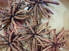 -回收名酒洋酒烟酒冬虫夏草礼品(上海总店)