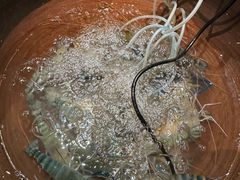 -上名堂·鱼头好吃(体育场路店)