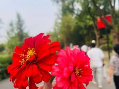 -南北湖风景区