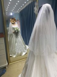 -艾朵婚纱