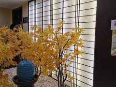 -汤里来温泉