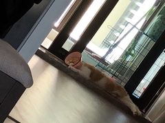 -安安宠医·安宠宠物医院