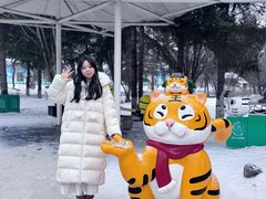 -横道河子东北虎林园